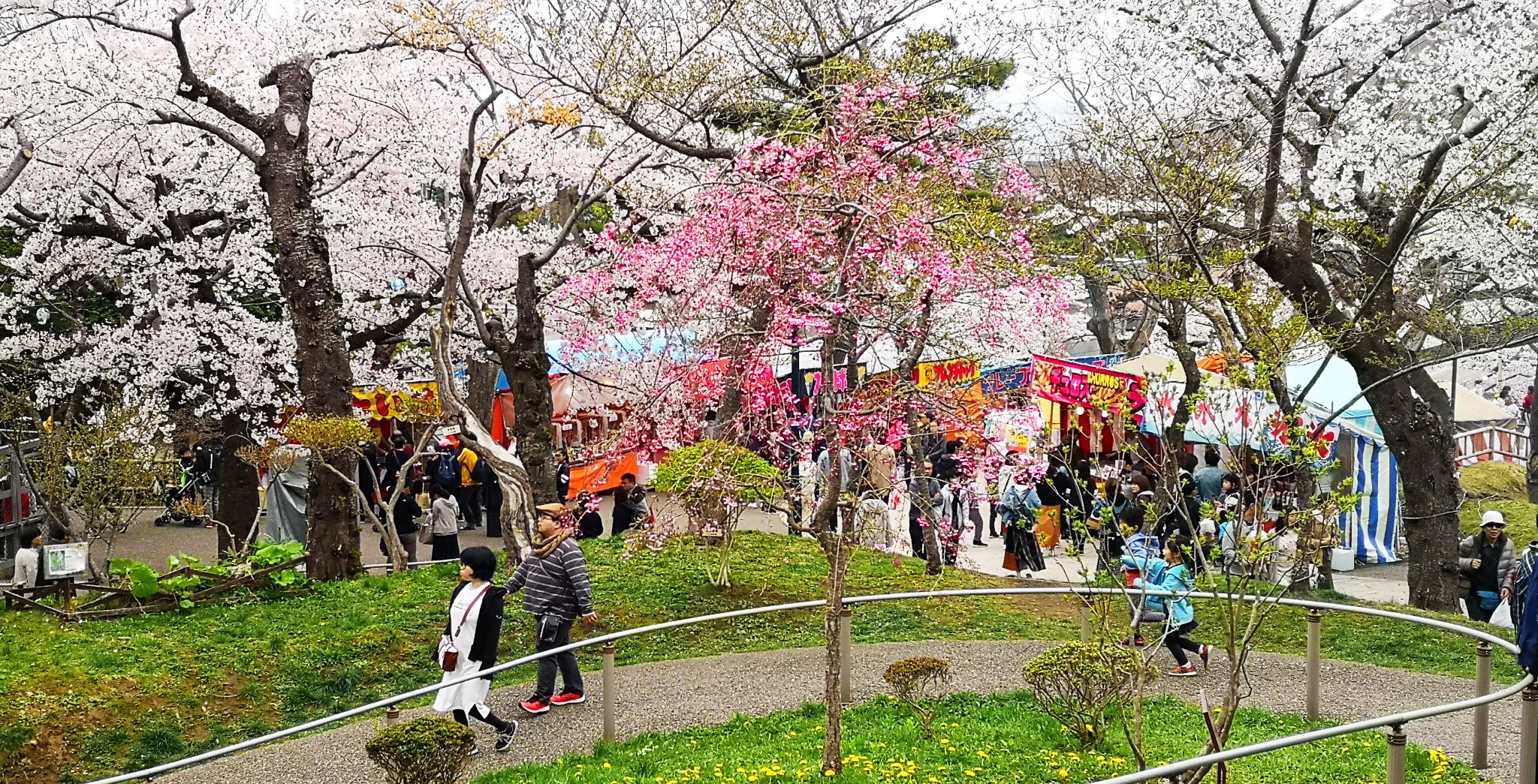 北海道自助遊攻略