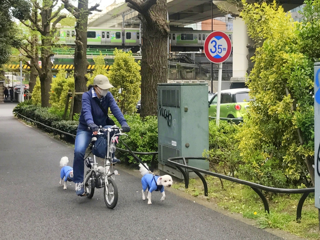 東京自助遊攻略