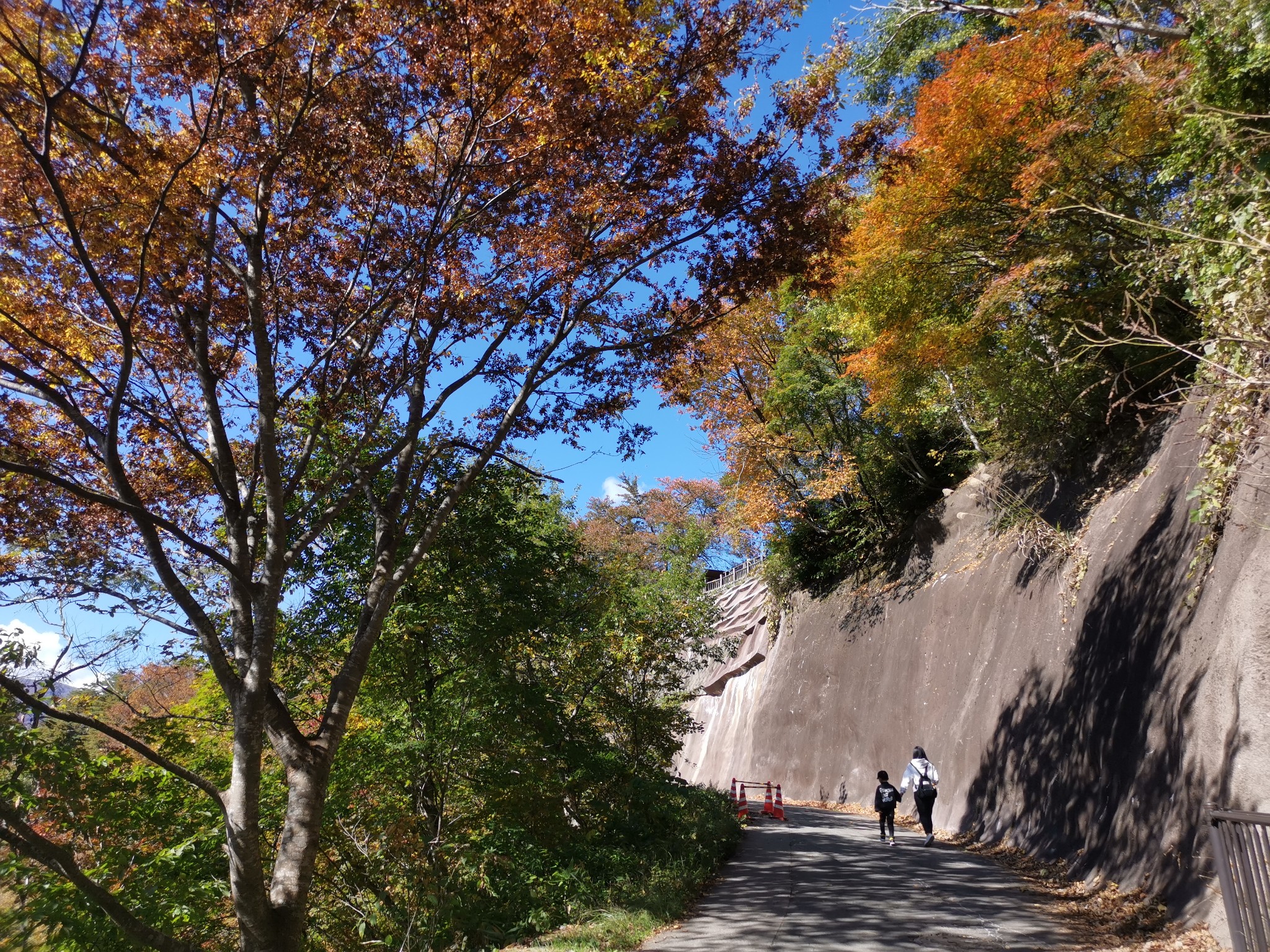 北海道自助遊攻略