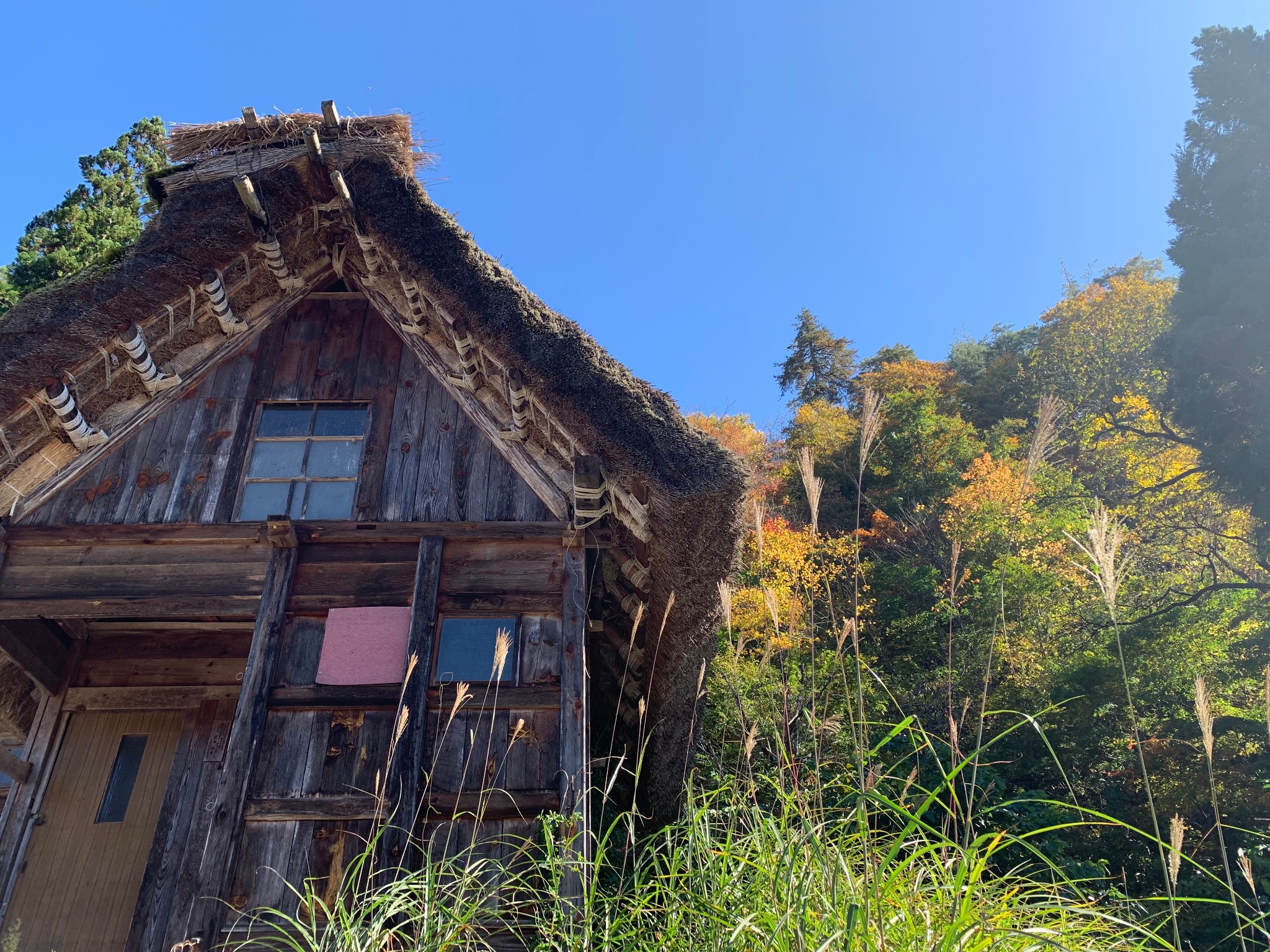 北海道自助遊攻略