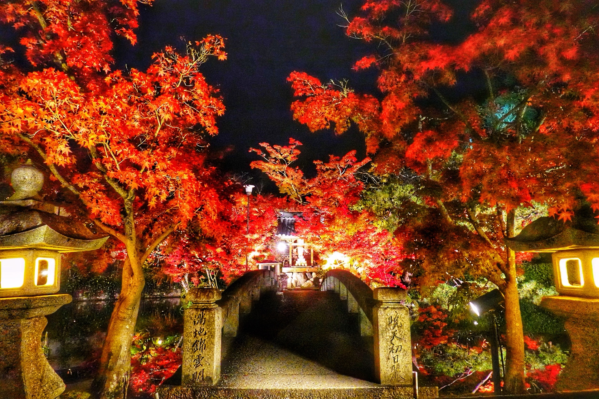 京都自助遊攻略