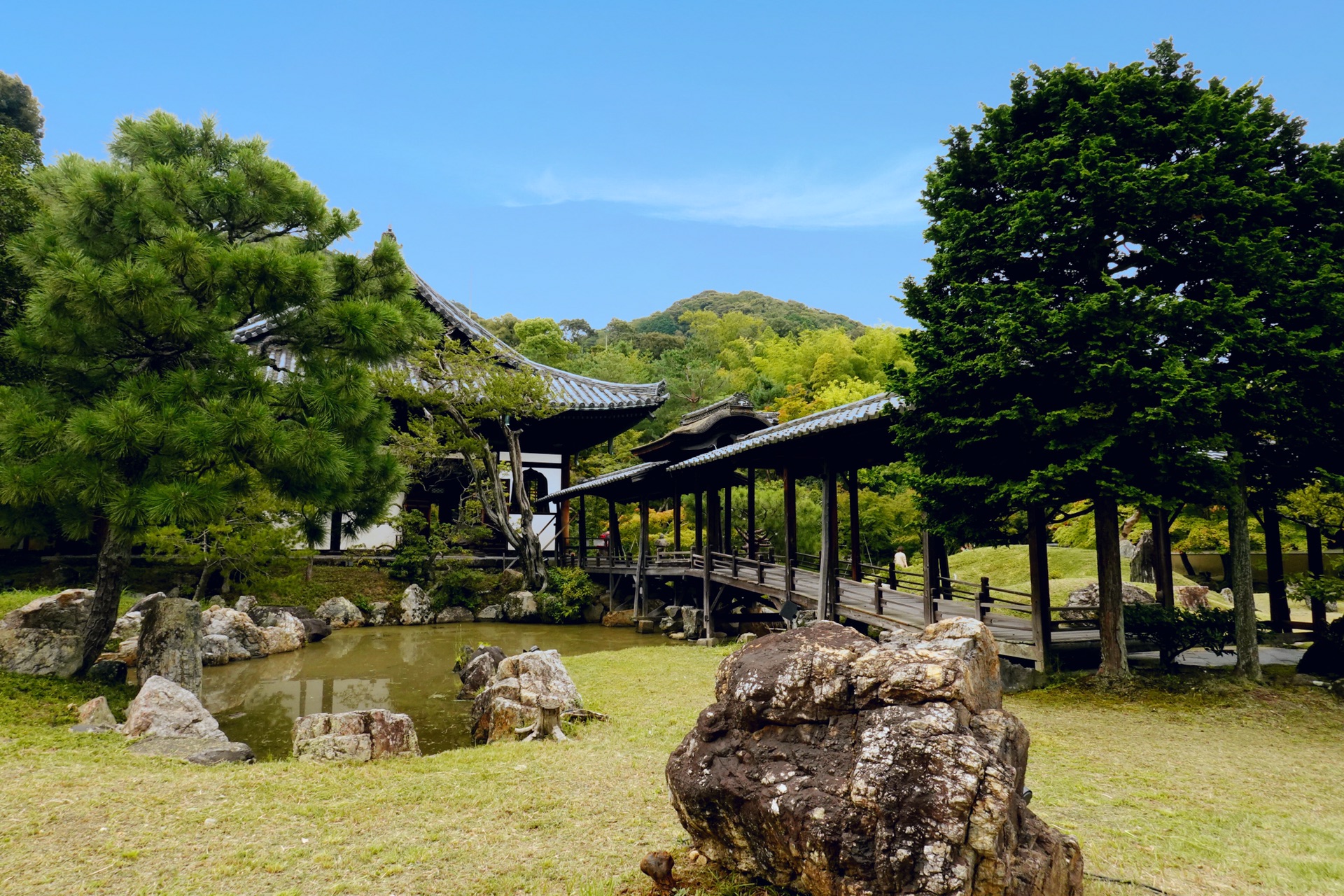 京都自助遊攻略