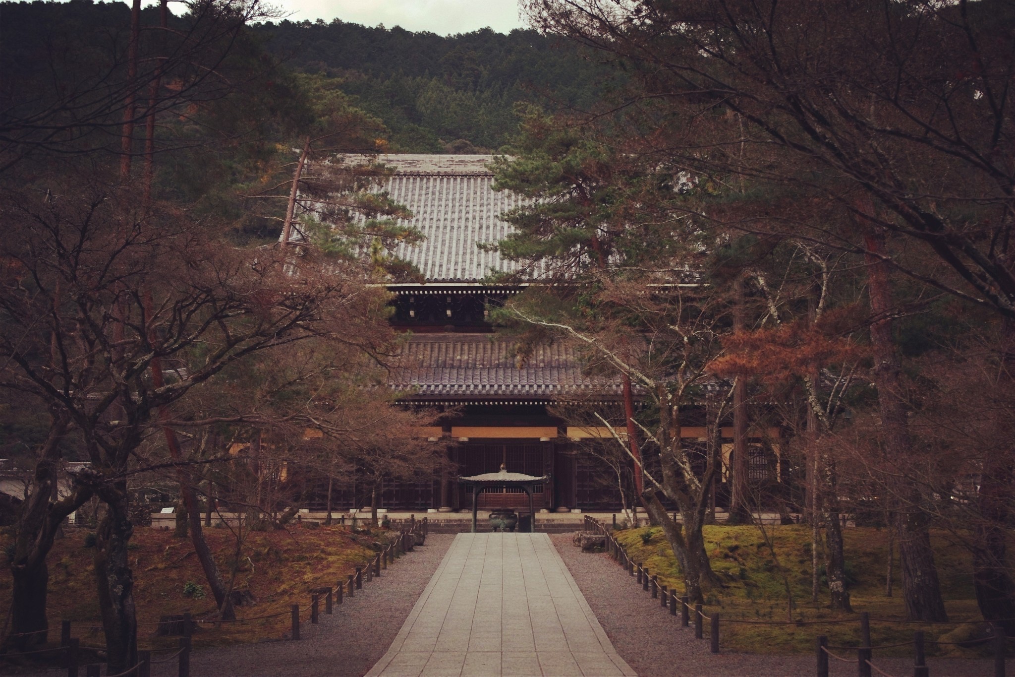 京都自助遊攻略