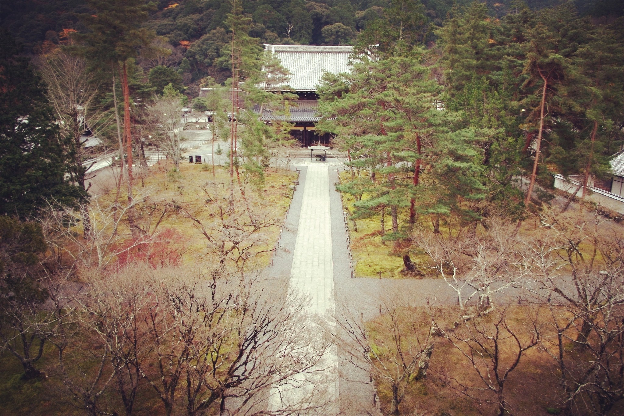 京都自助遊攻略