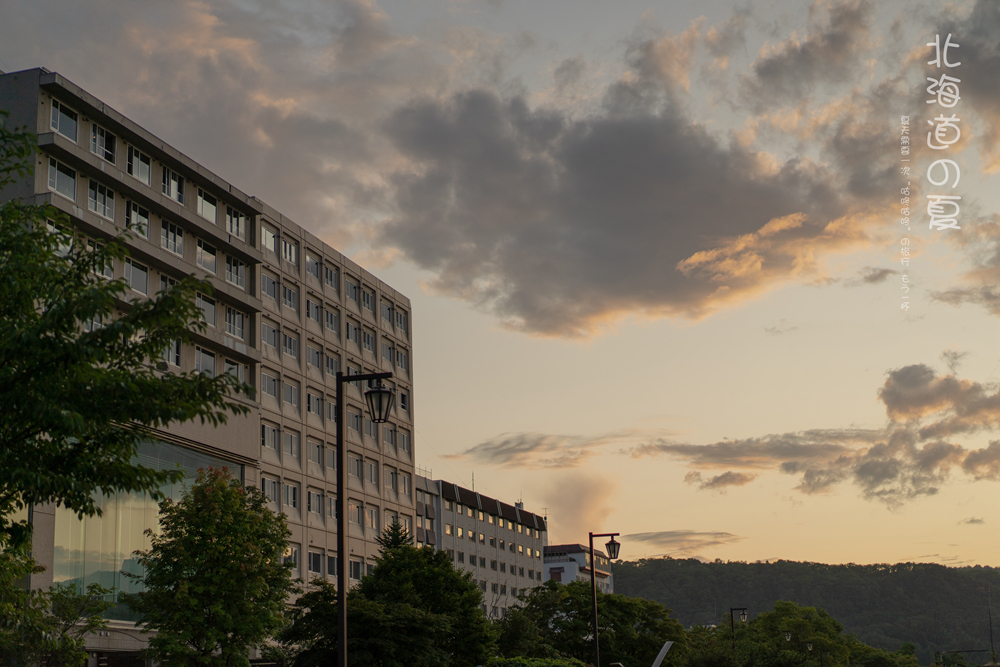 北海道自助遊攻略