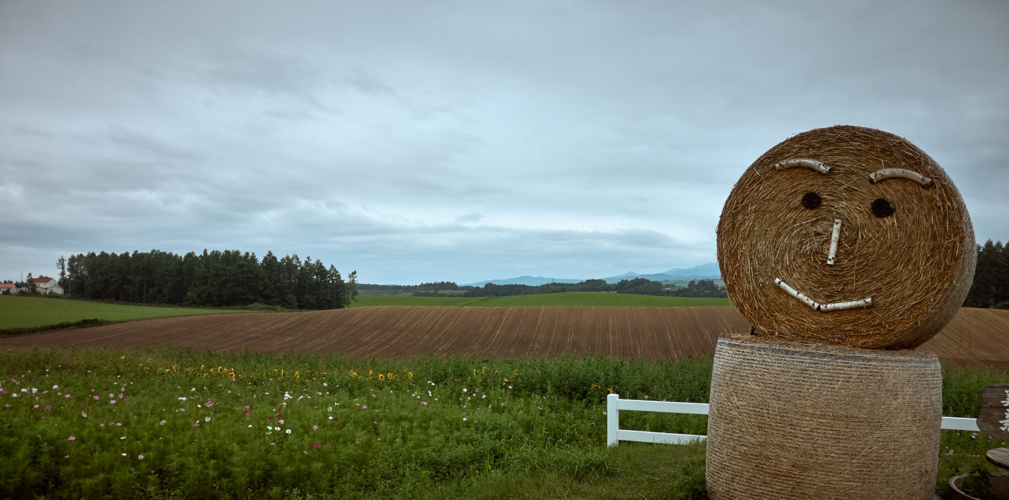 北海道自助遊攻略