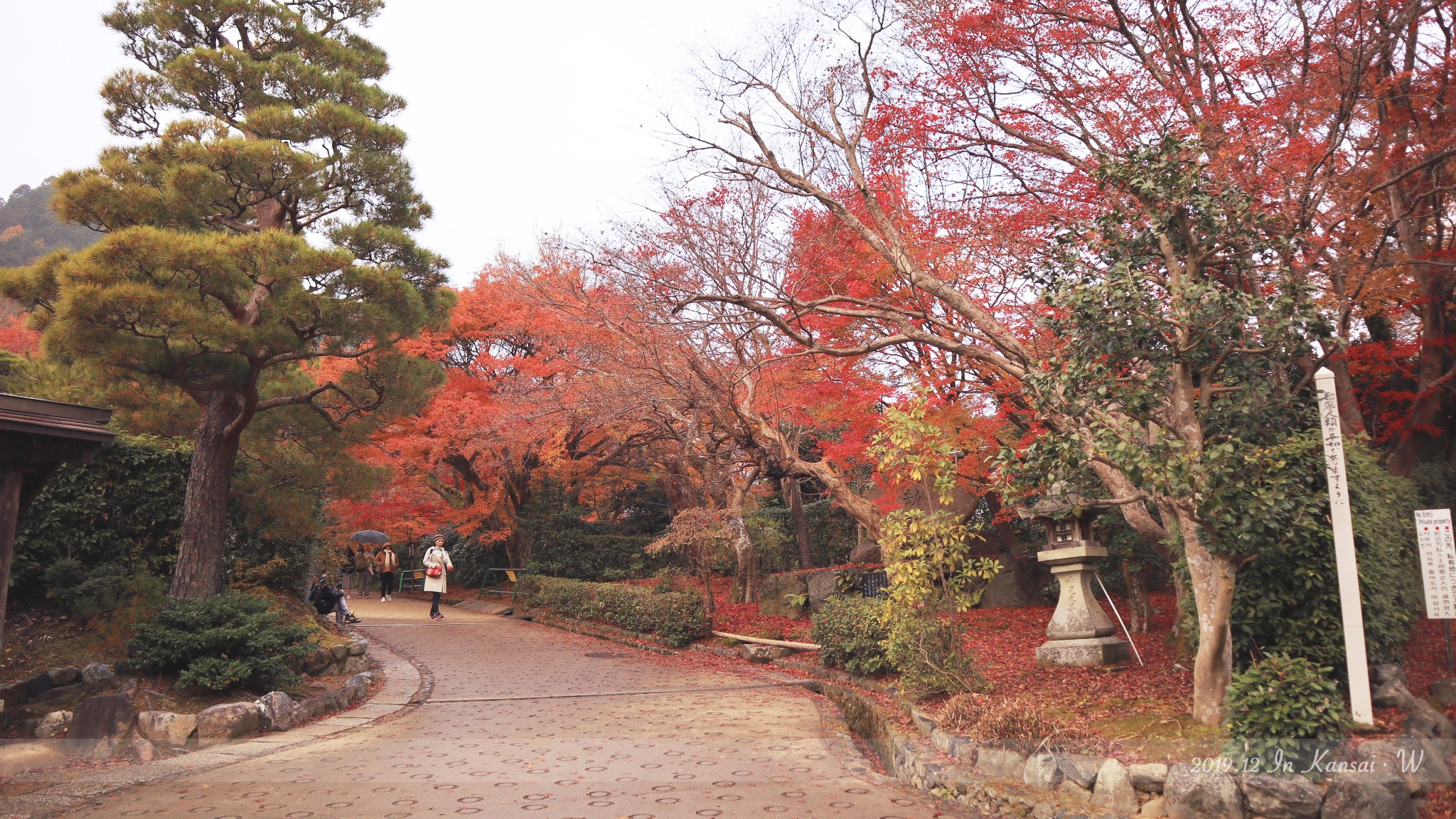 京都自助遊攻略