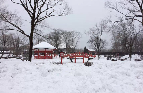 北海道自助遊攻略