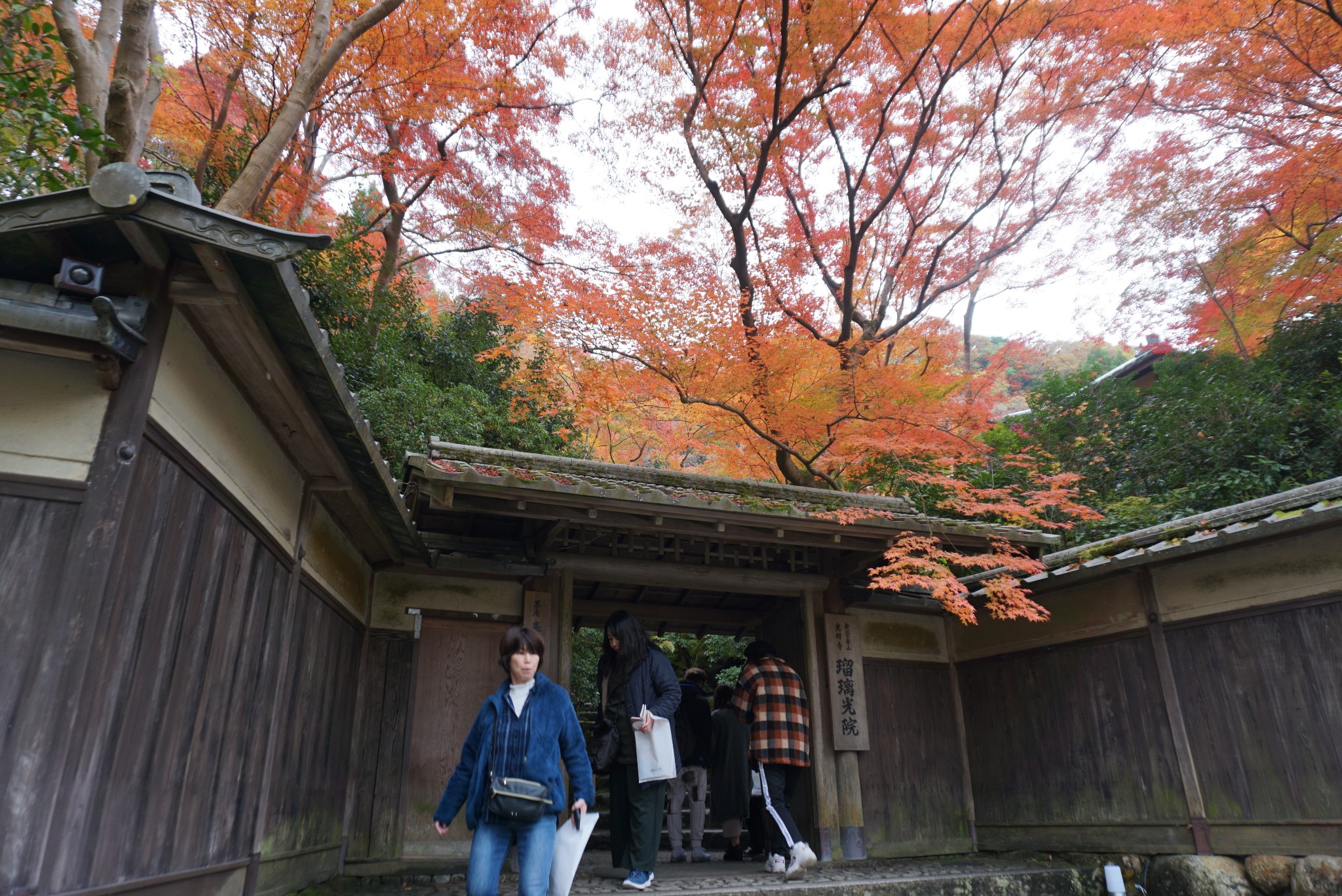 京都自助遊攻略