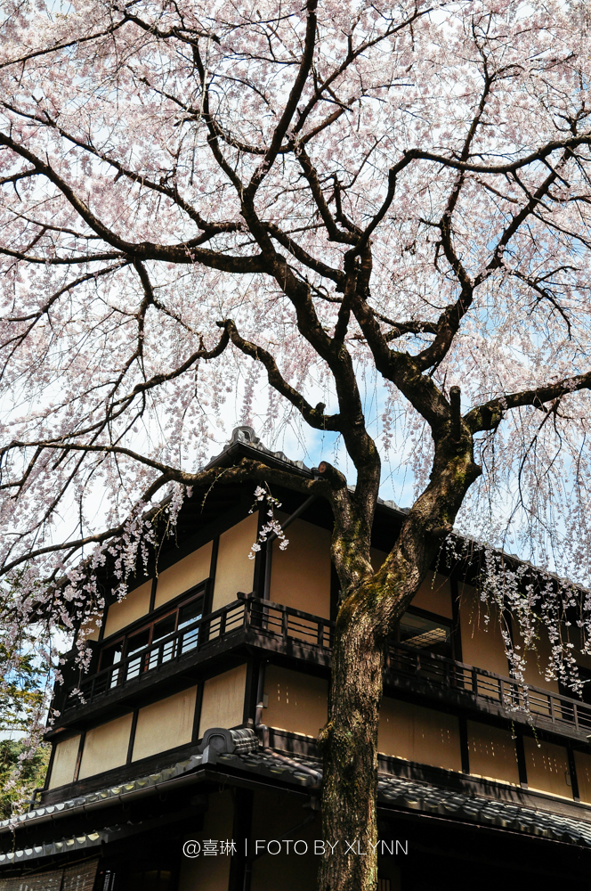 京都自助遊攻略