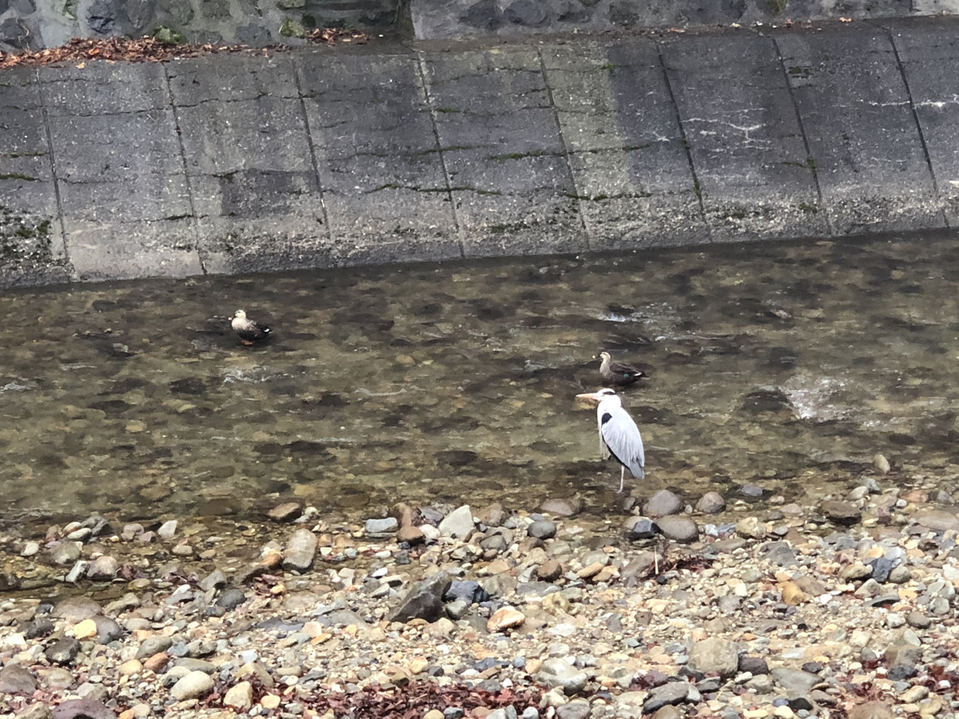 名古屋自助遊攻略