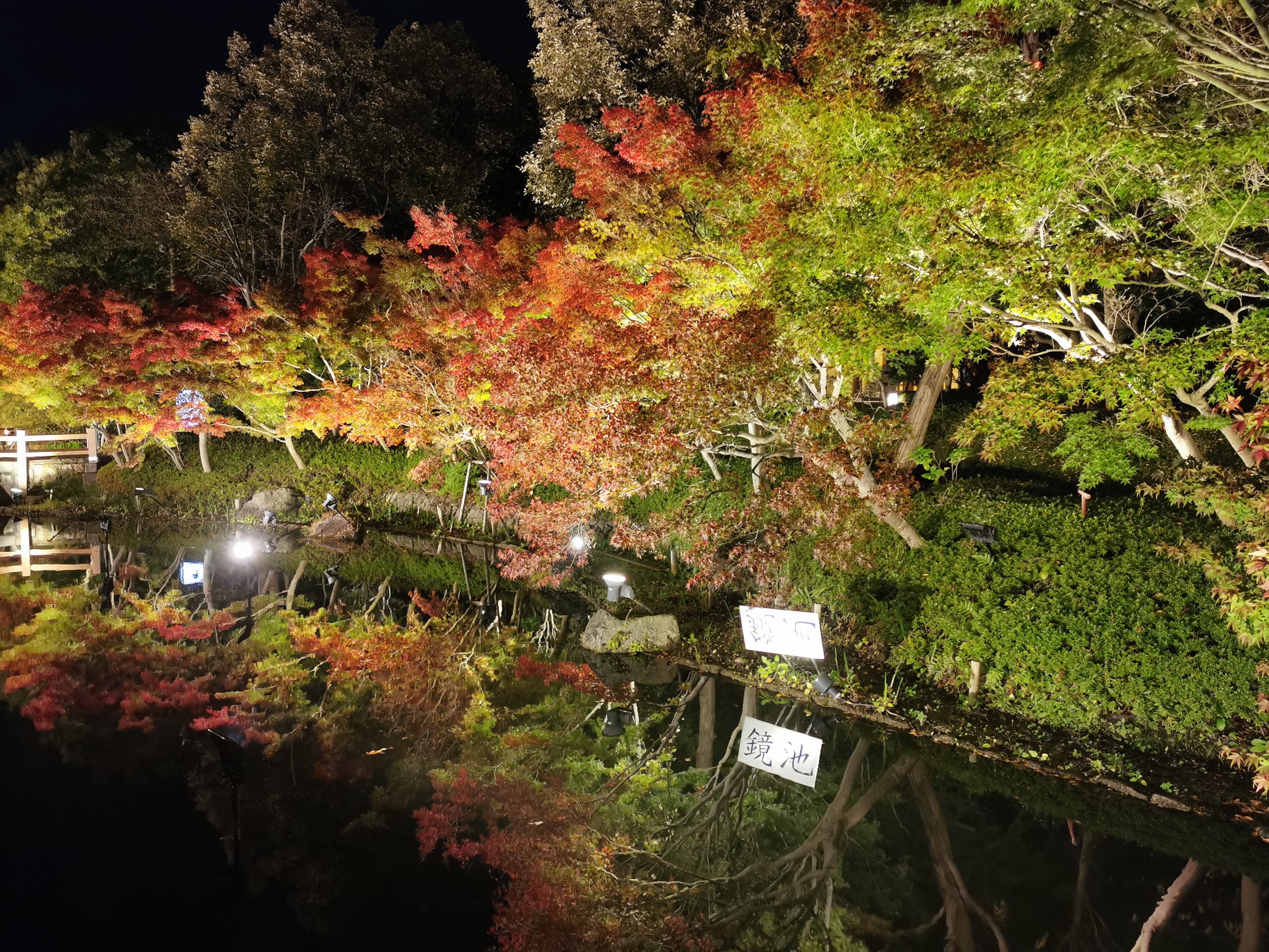 名古屋自助遊攻略