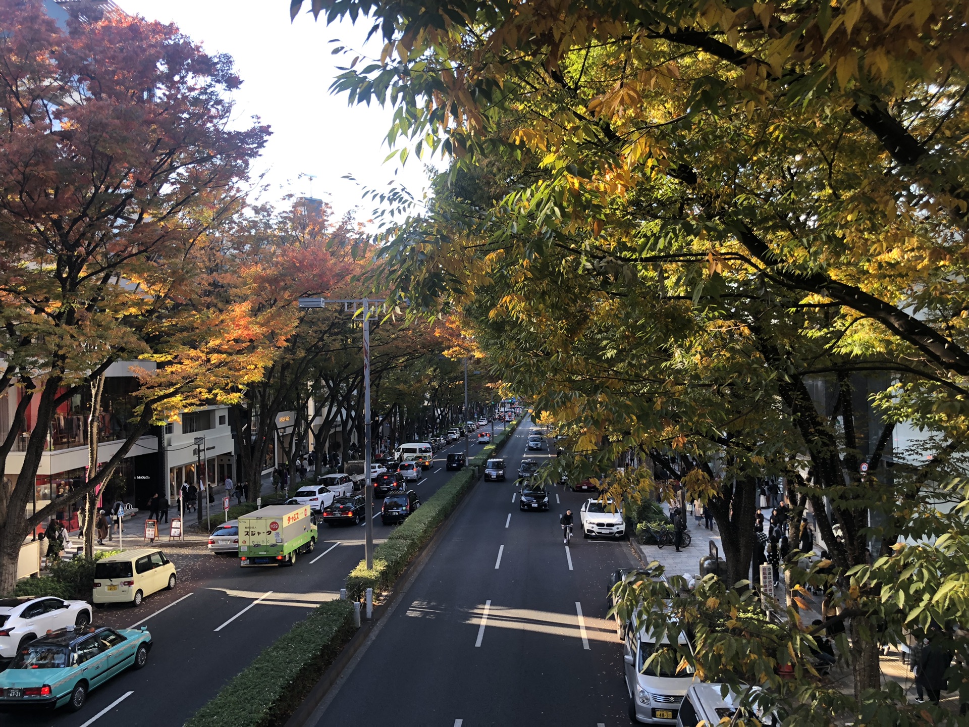 東京自助遊攻略