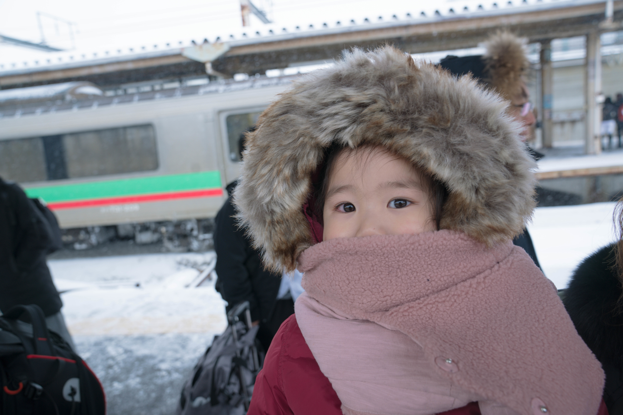 北海道自助遊攻略