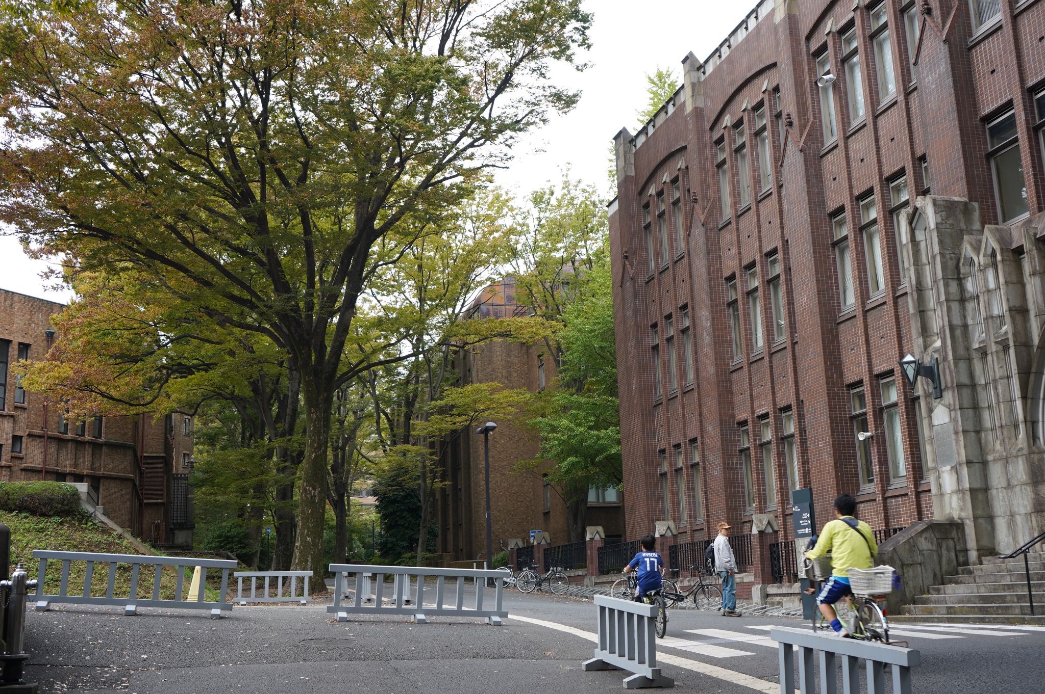 東京自助遊攻略