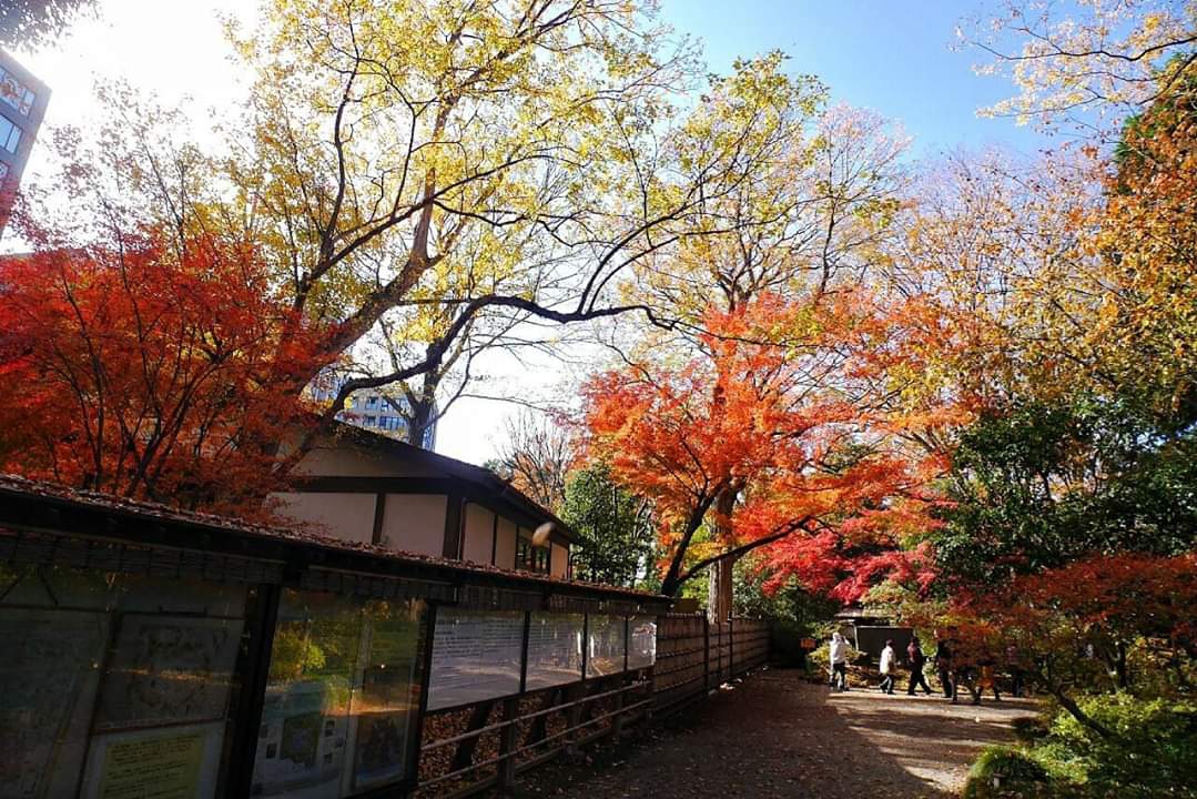 東京自助遊攻略