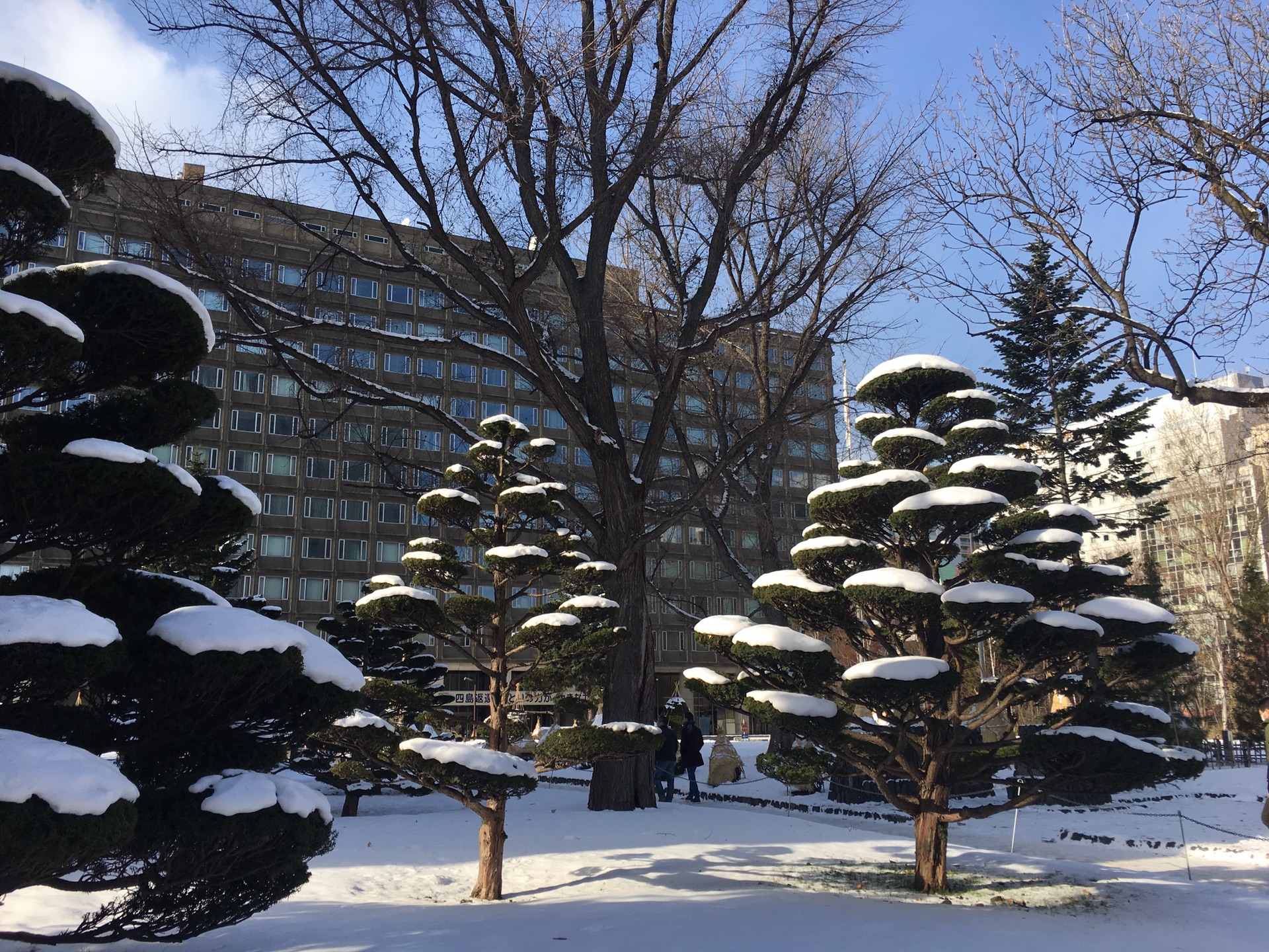 北海道自助遊攻略