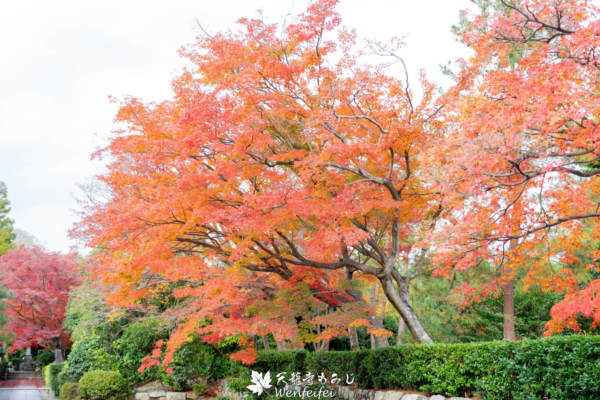 京都自助遊攻略