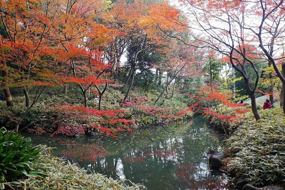 東京自助遊攻略