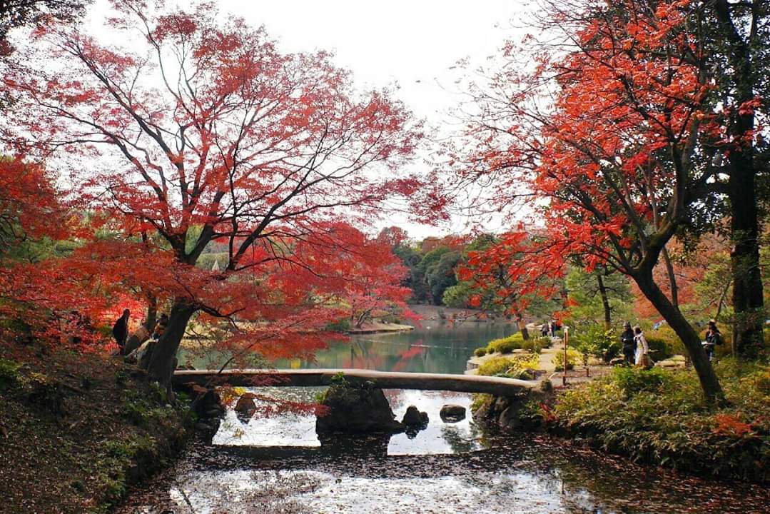 東京自助遊攻略