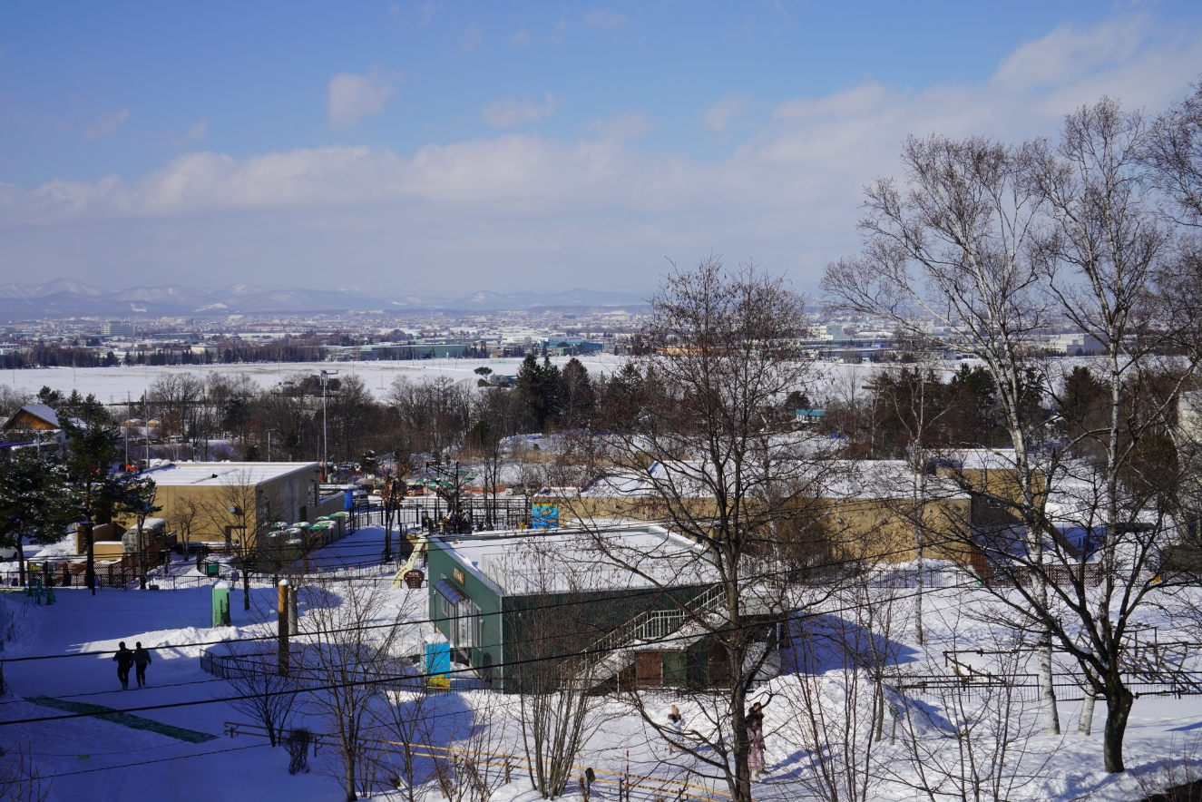 北海道自助遊攻略