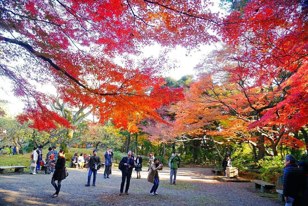 東京自助遊攻略