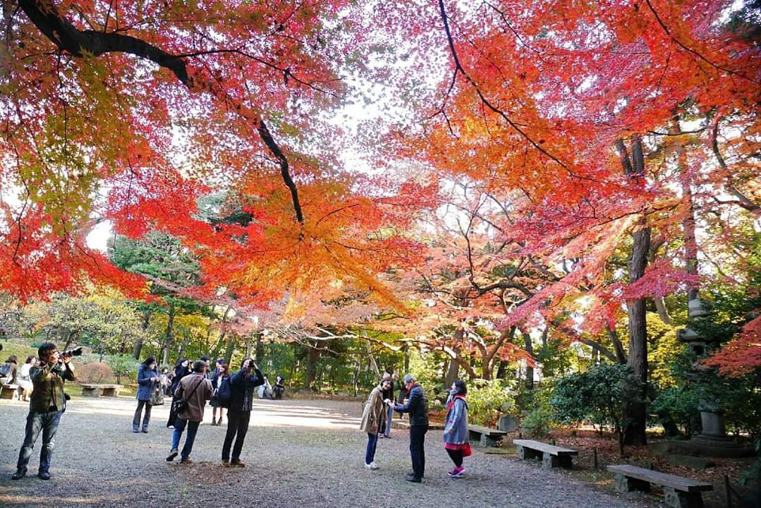 東京自助遊攻略