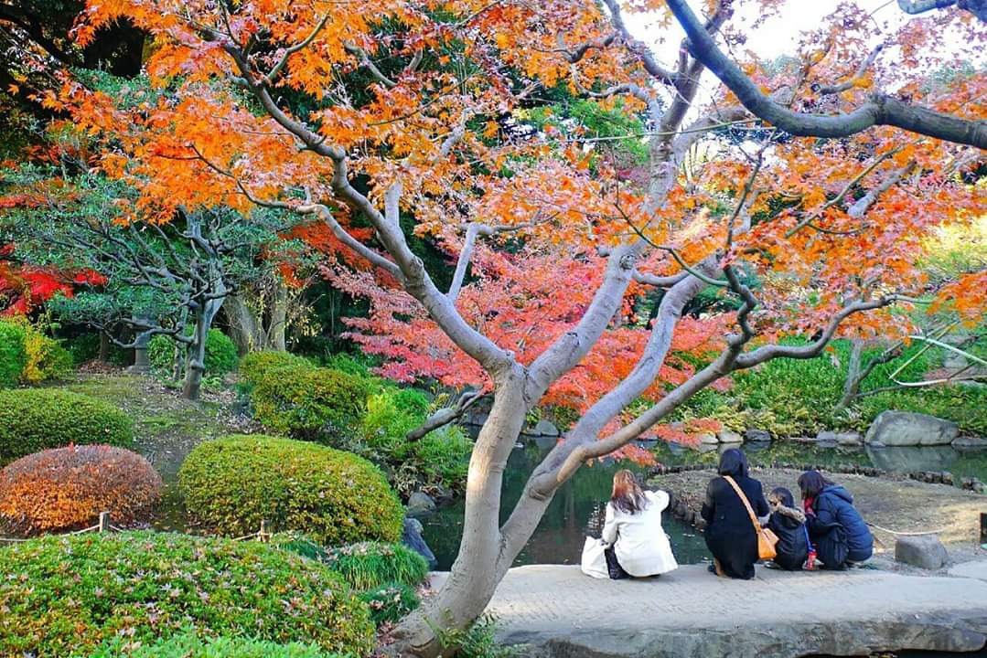 東京自助遊攻略