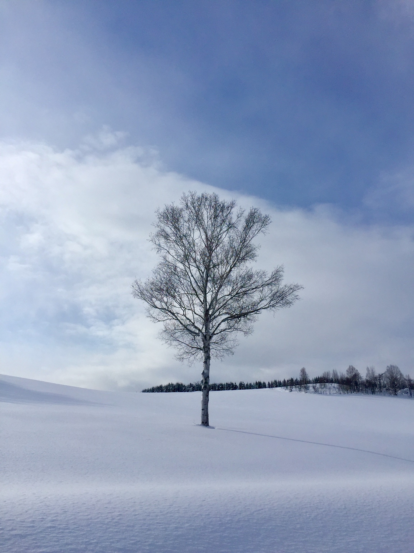 北海道自助遊攻略