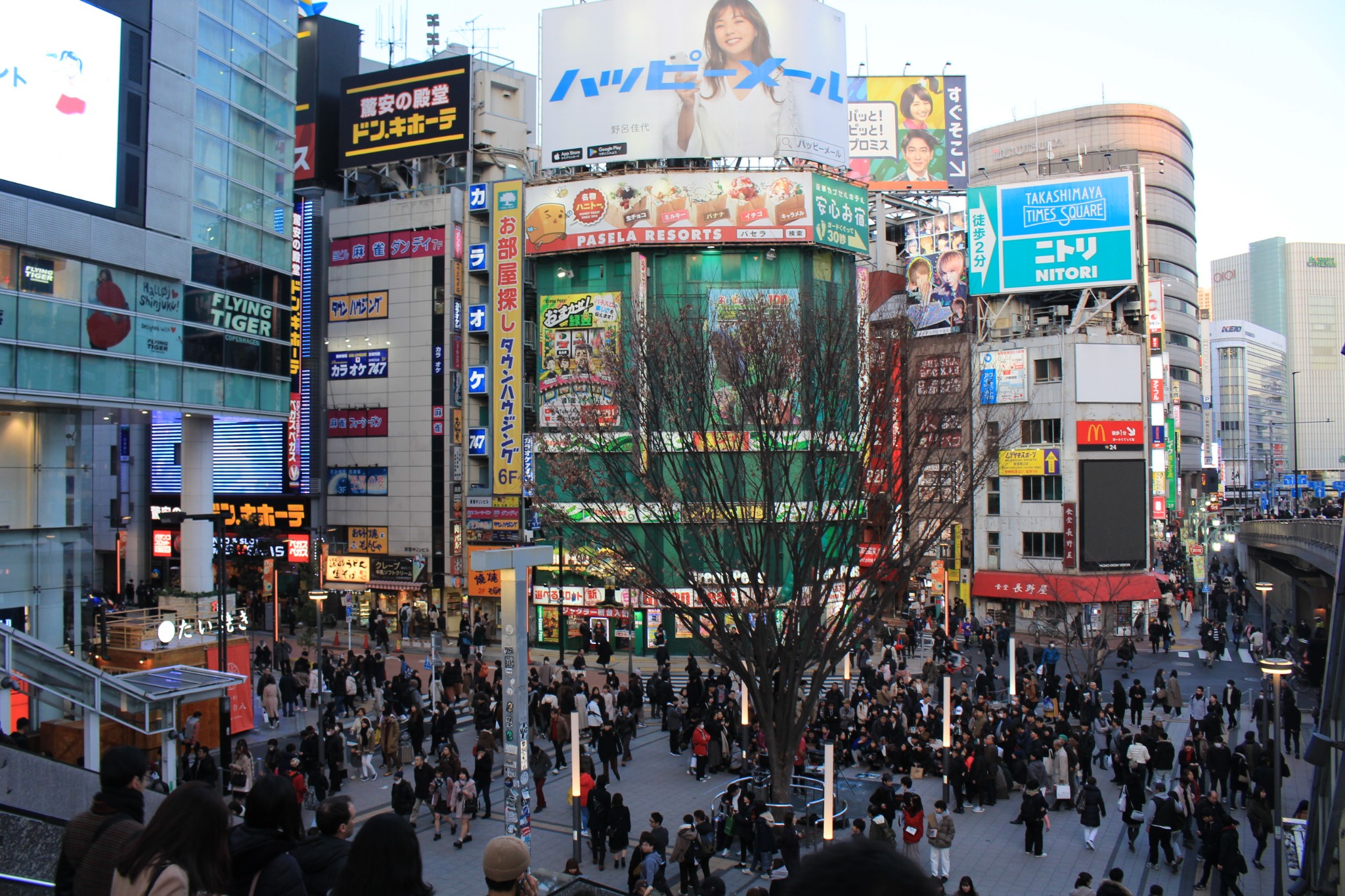 東京自助遊攻略