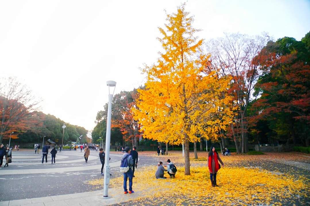 東京自助遊攻略