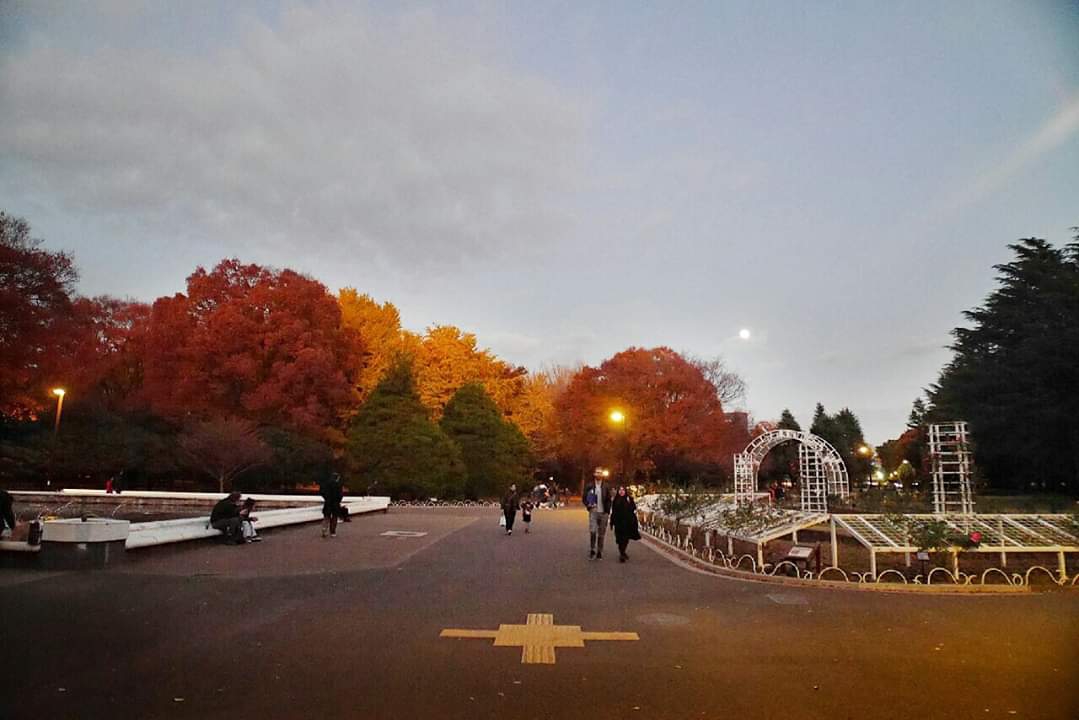 東京自助遊攻略