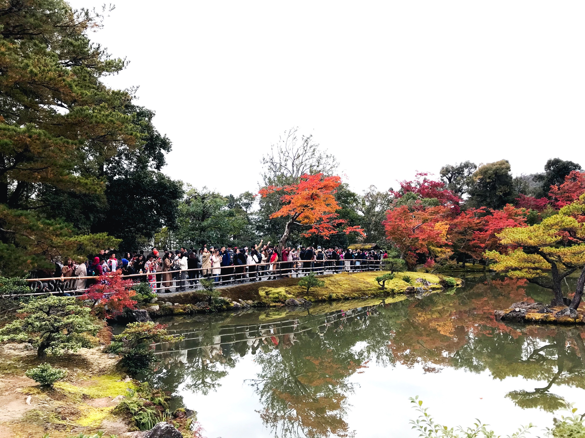 京都自助遊攻略