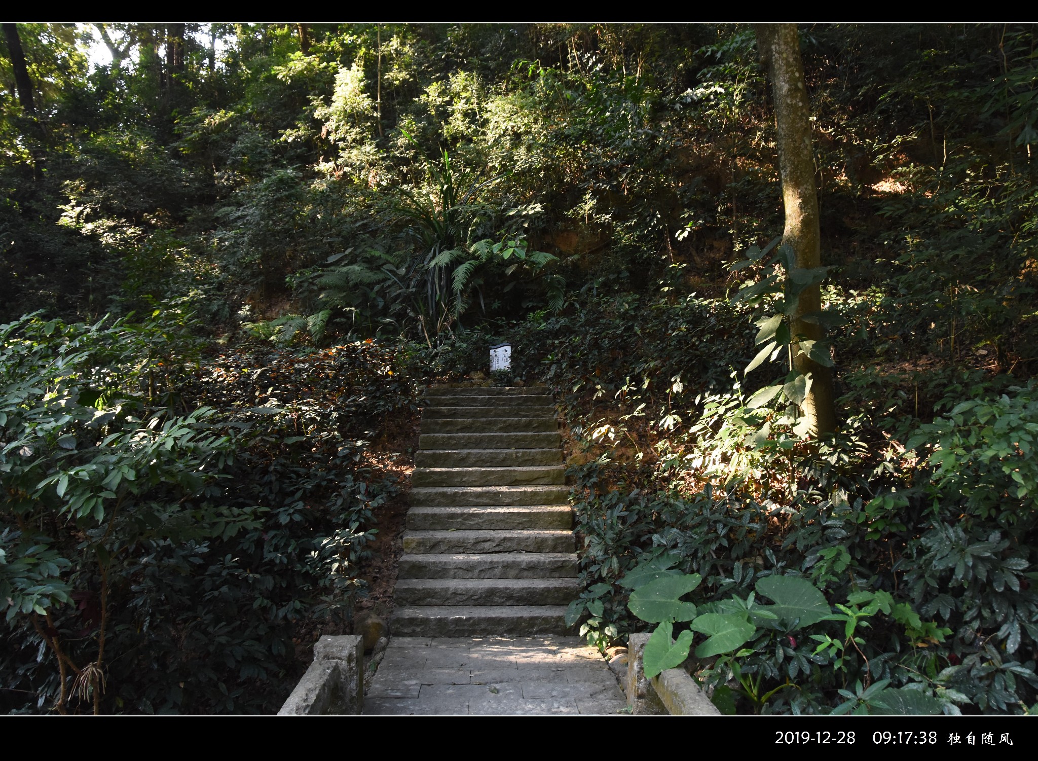 朱明洞 元帥樓 將軍樓 羅浮山索道 鷹嘴巖 鷹嘴巖上俯瞰山景