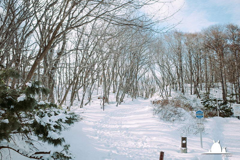 北海道自助遊攻略