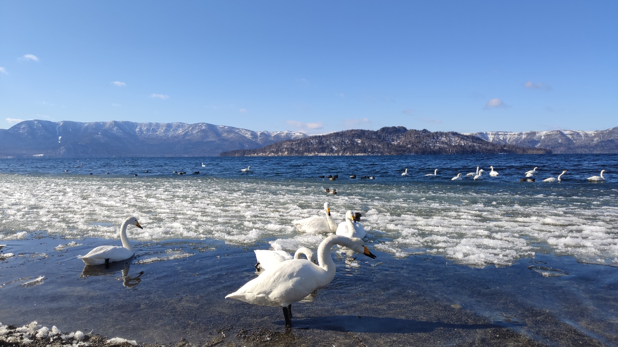 北海道自助遊攻略