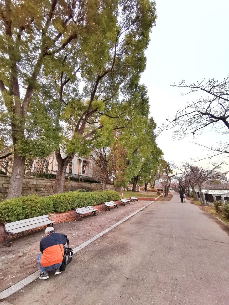 東京自助遊攻略