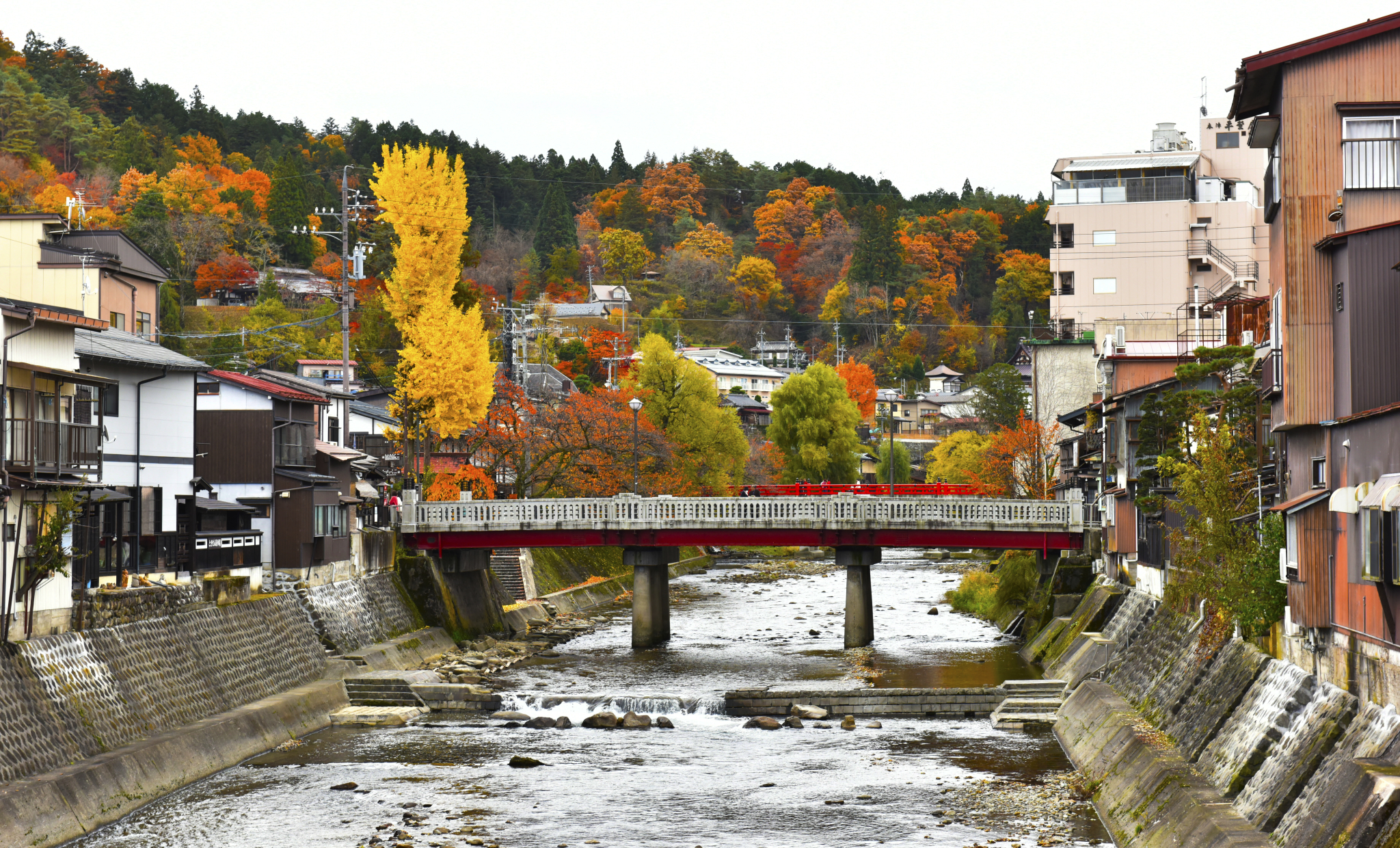 京都自助遊攻略