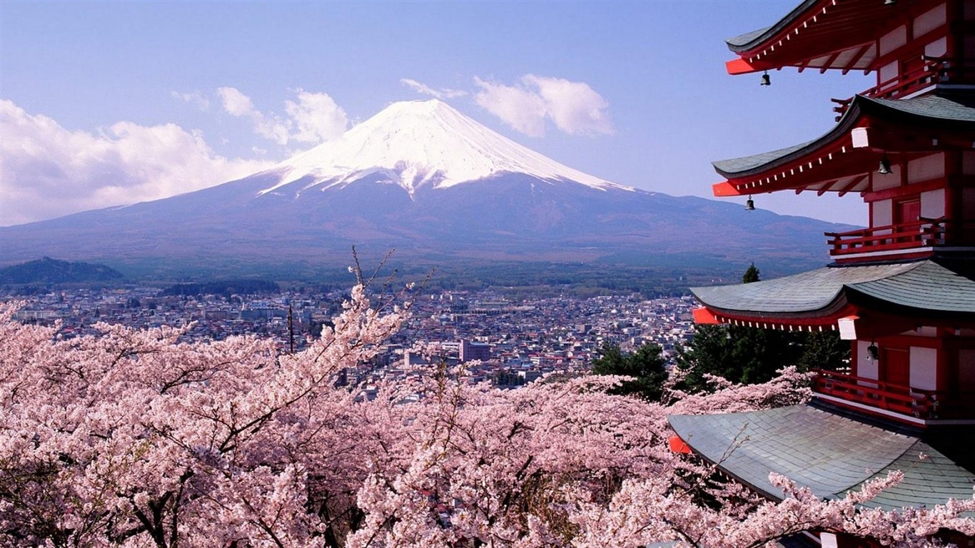 日本本州 北海道/札幌 小樽 登別 洞爺湖 東京 富士