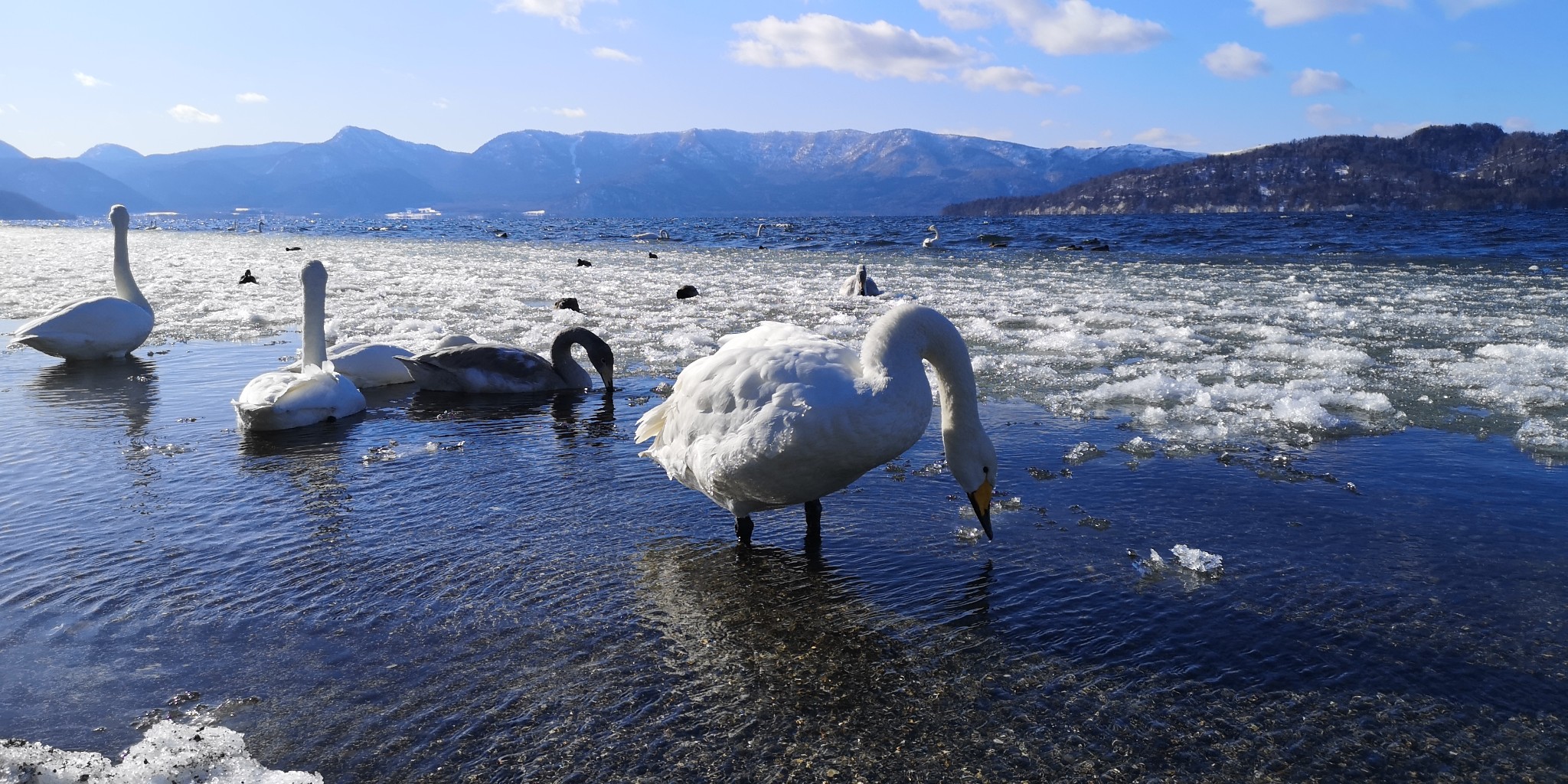 北海道自助遊攻略