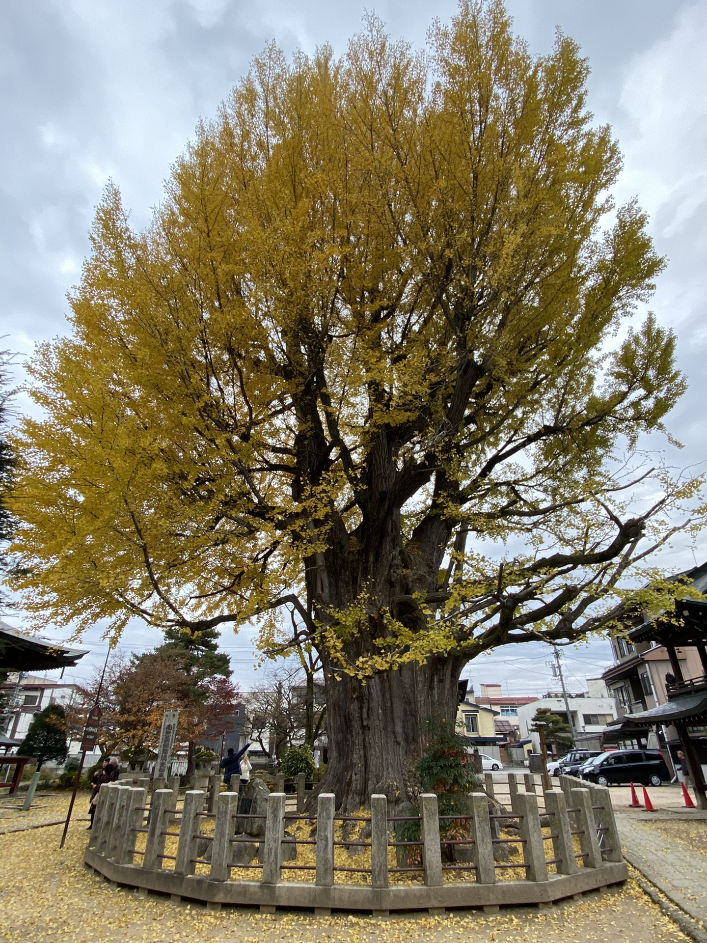 名古屋自助遊攻略