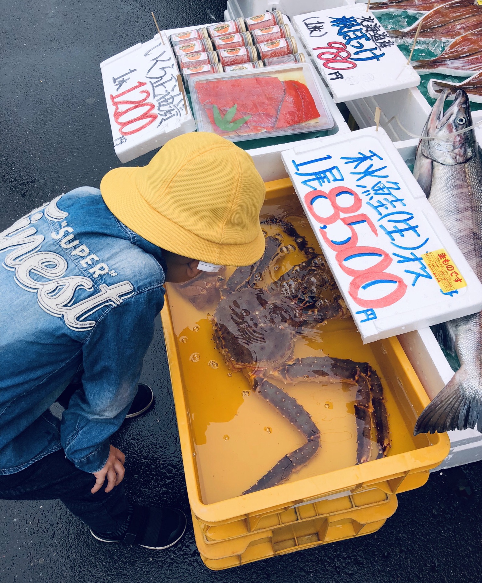 北海道自助遊攻略