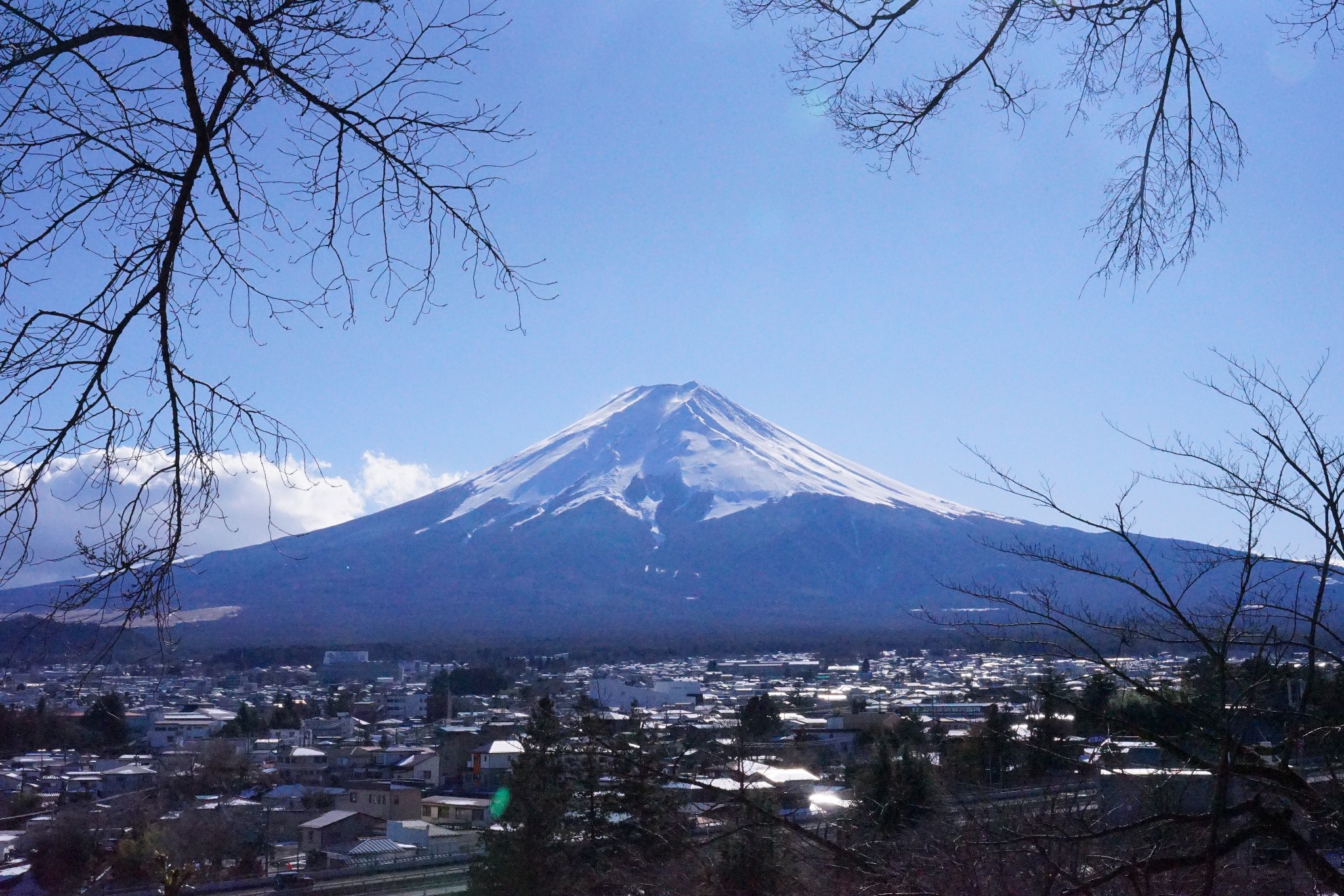 東京自助遊攻略