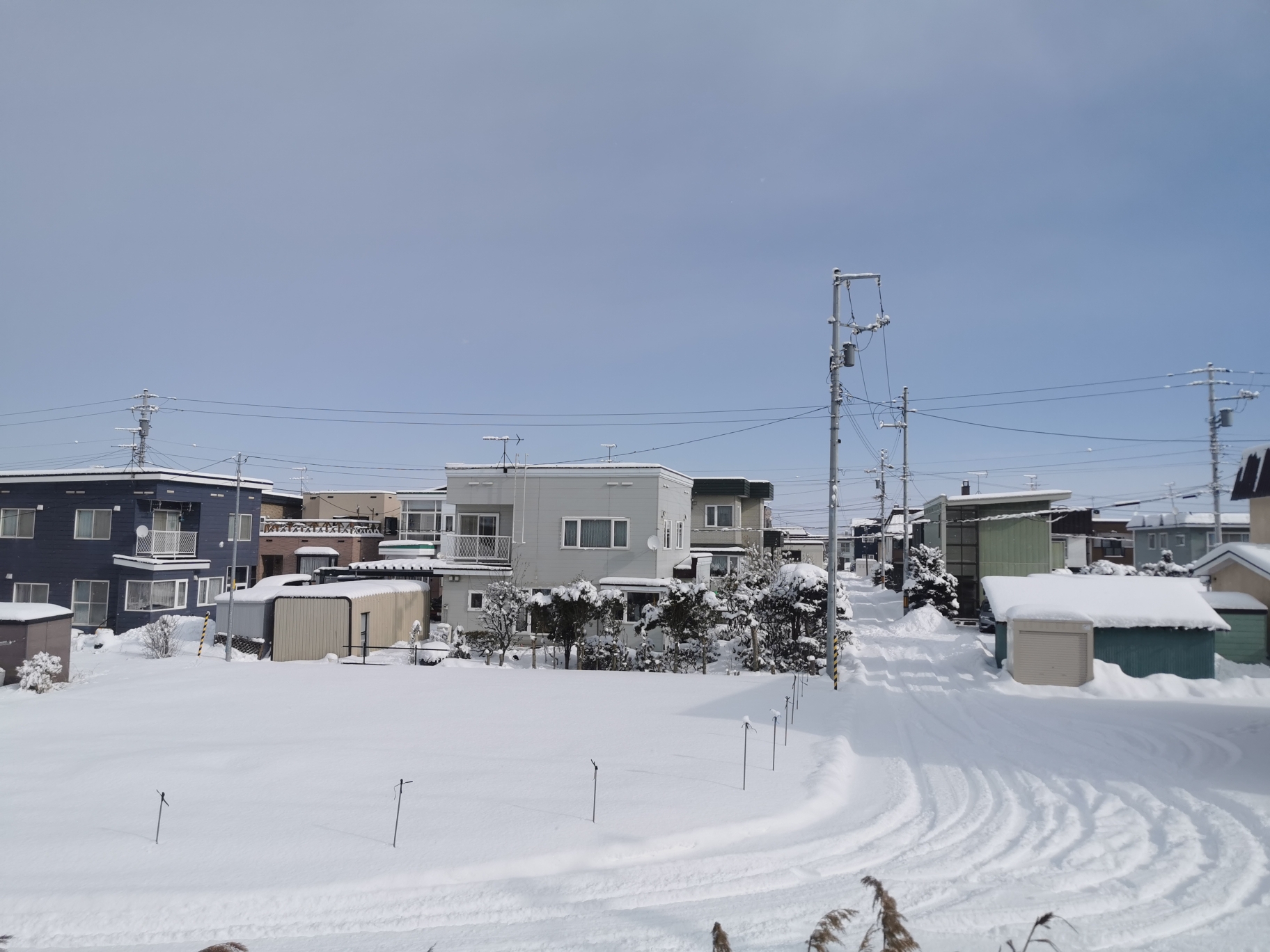 北海道自助遊攻略