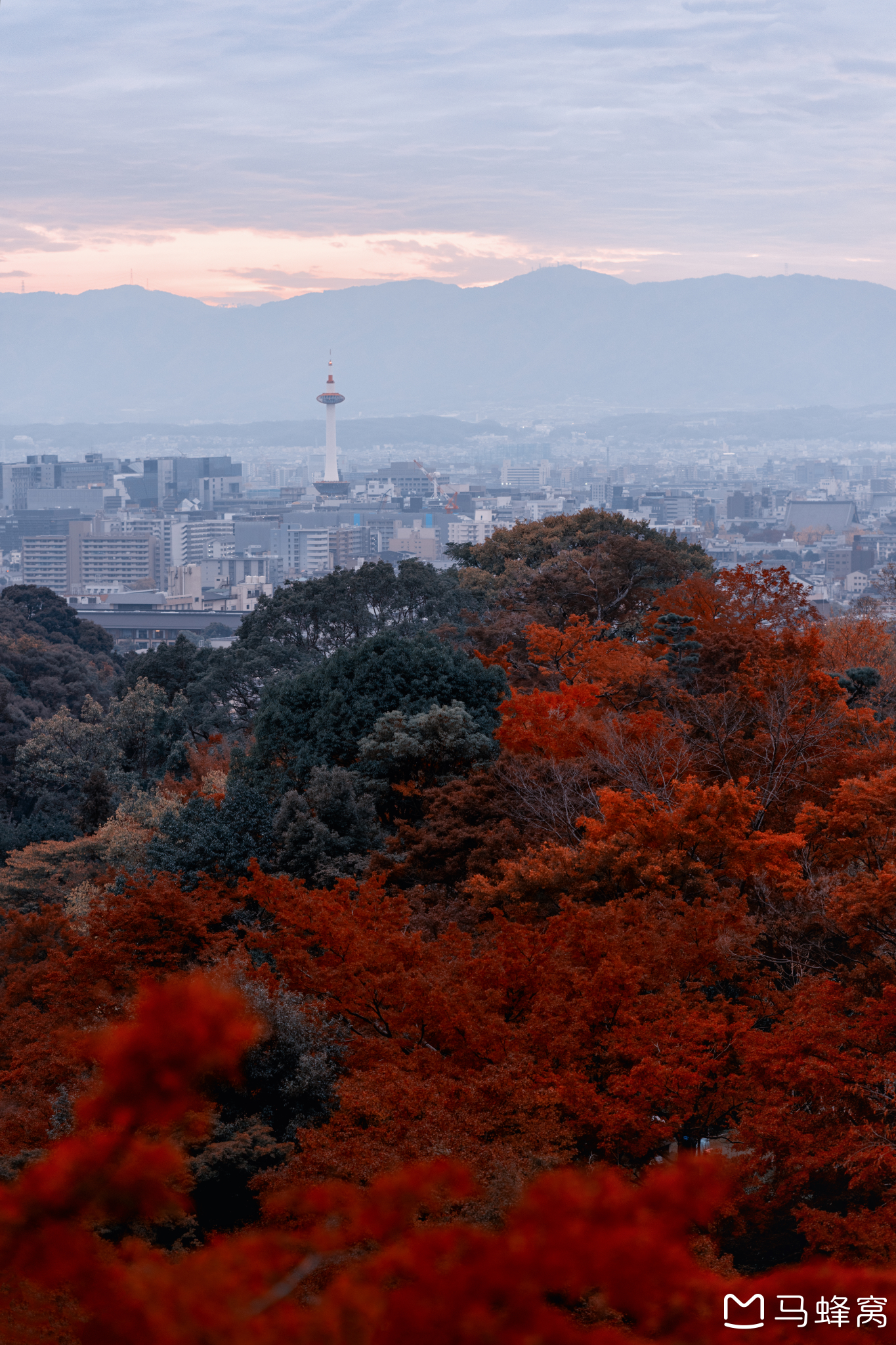 京都自助遊攻略