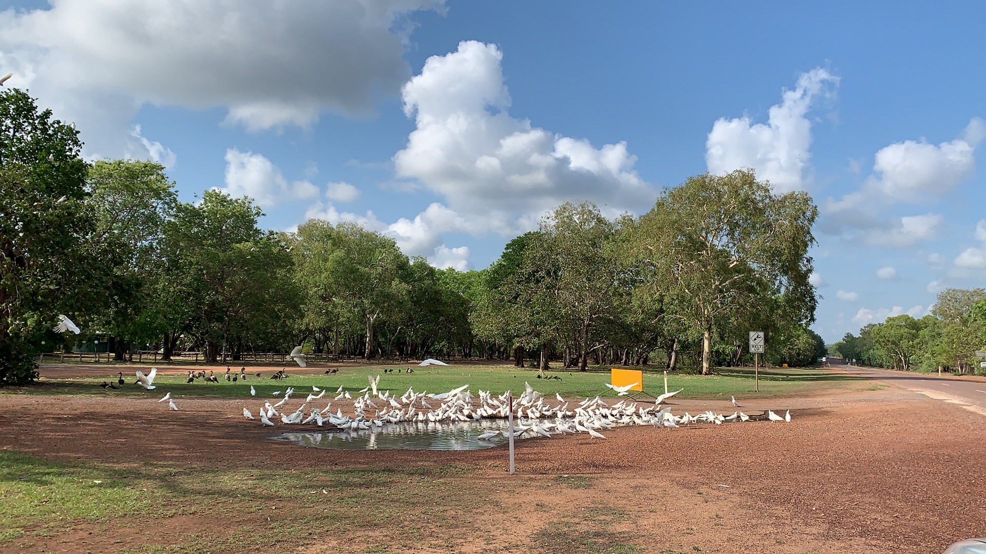 烏魯魯—卡塔丘塔國家公園自助遊攻略