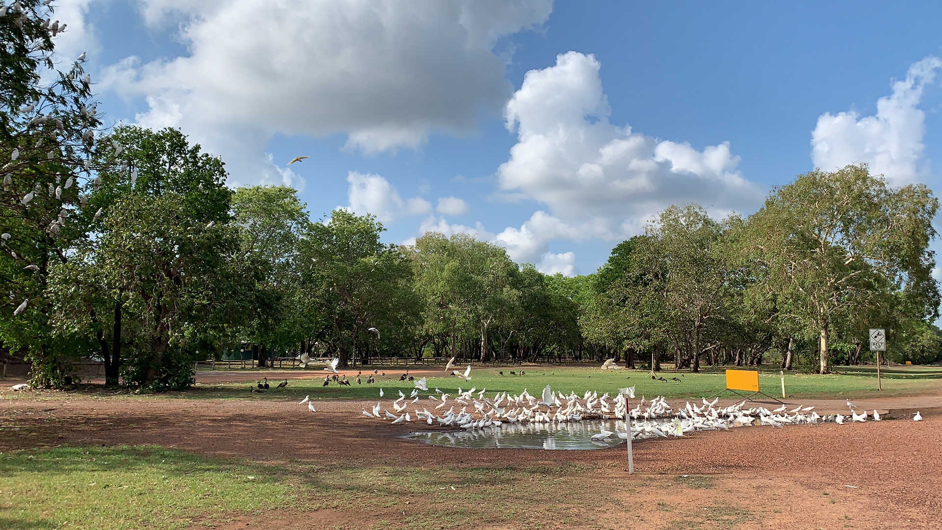 烏魯魯—卡塔丘塔國家公園自助遊攻略