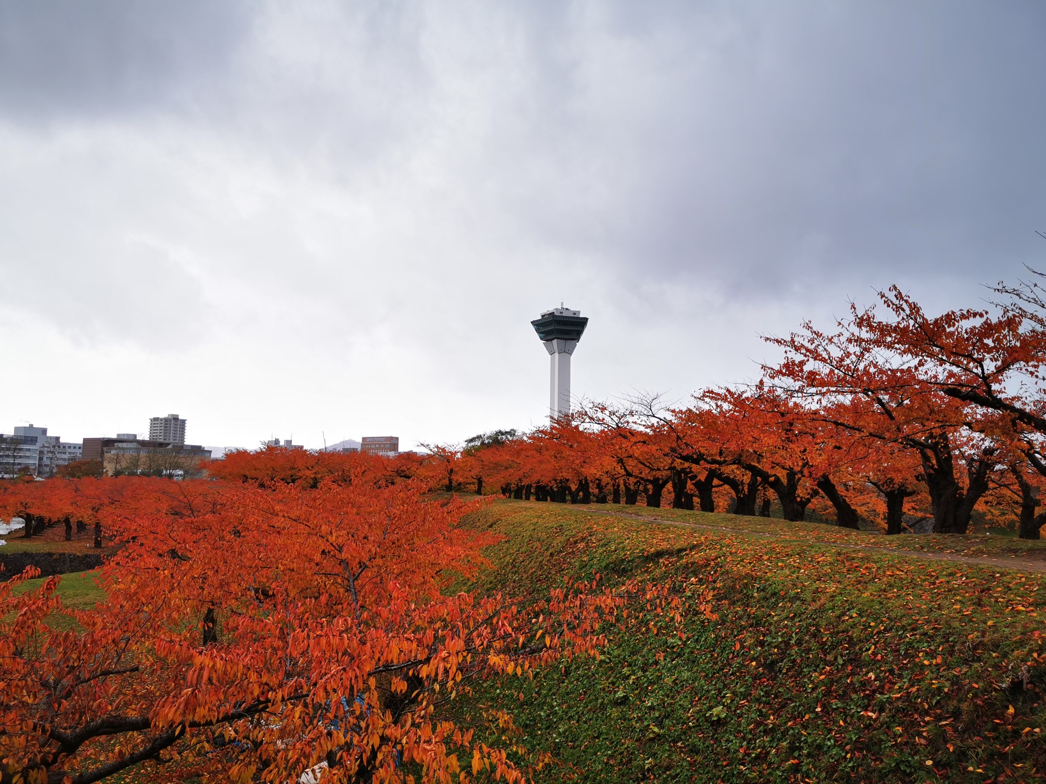 北海道自助遊攻略