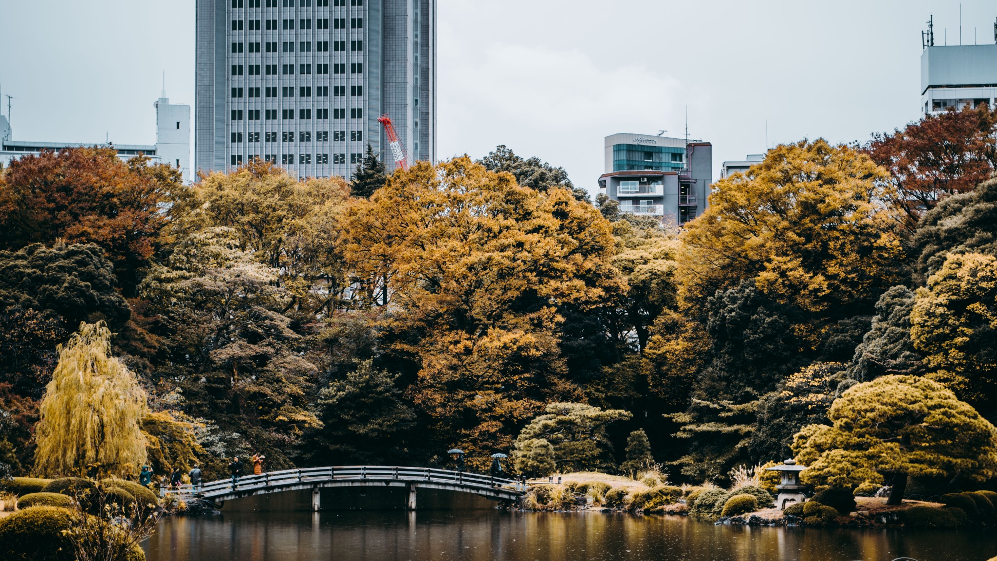 東京自助遊攻略