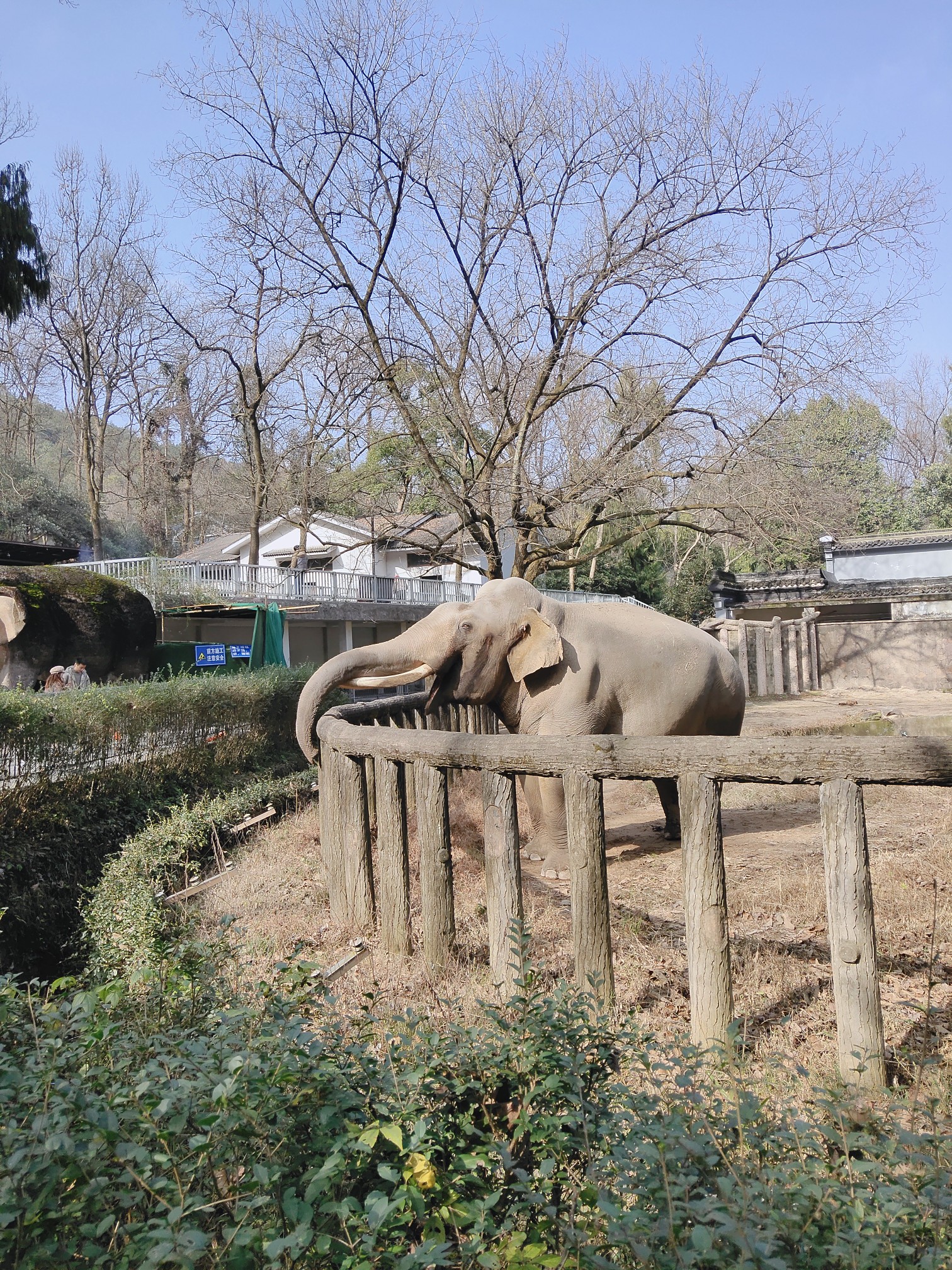 杭州動物園